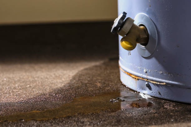 Best 24/7 water damage repair  in Crestwood, KY