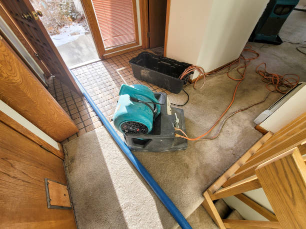 Best 24-hour water damage restoration  in Crestwood, KY