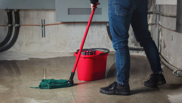 Best Emergency water extraction  in Crestwood, KY