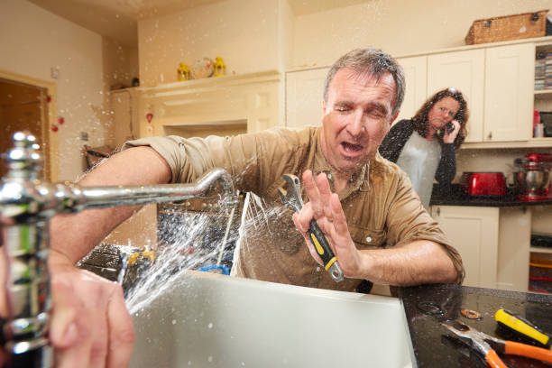 Best Professional water damage repair  in Crestwood, KY